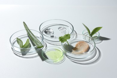 Petri dishes with different cosmetic products and aloe vera leaves on white background