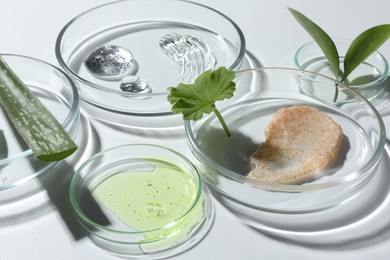 Petri dishes with different cosmetic products and aloe vera leaves on white background, closeup