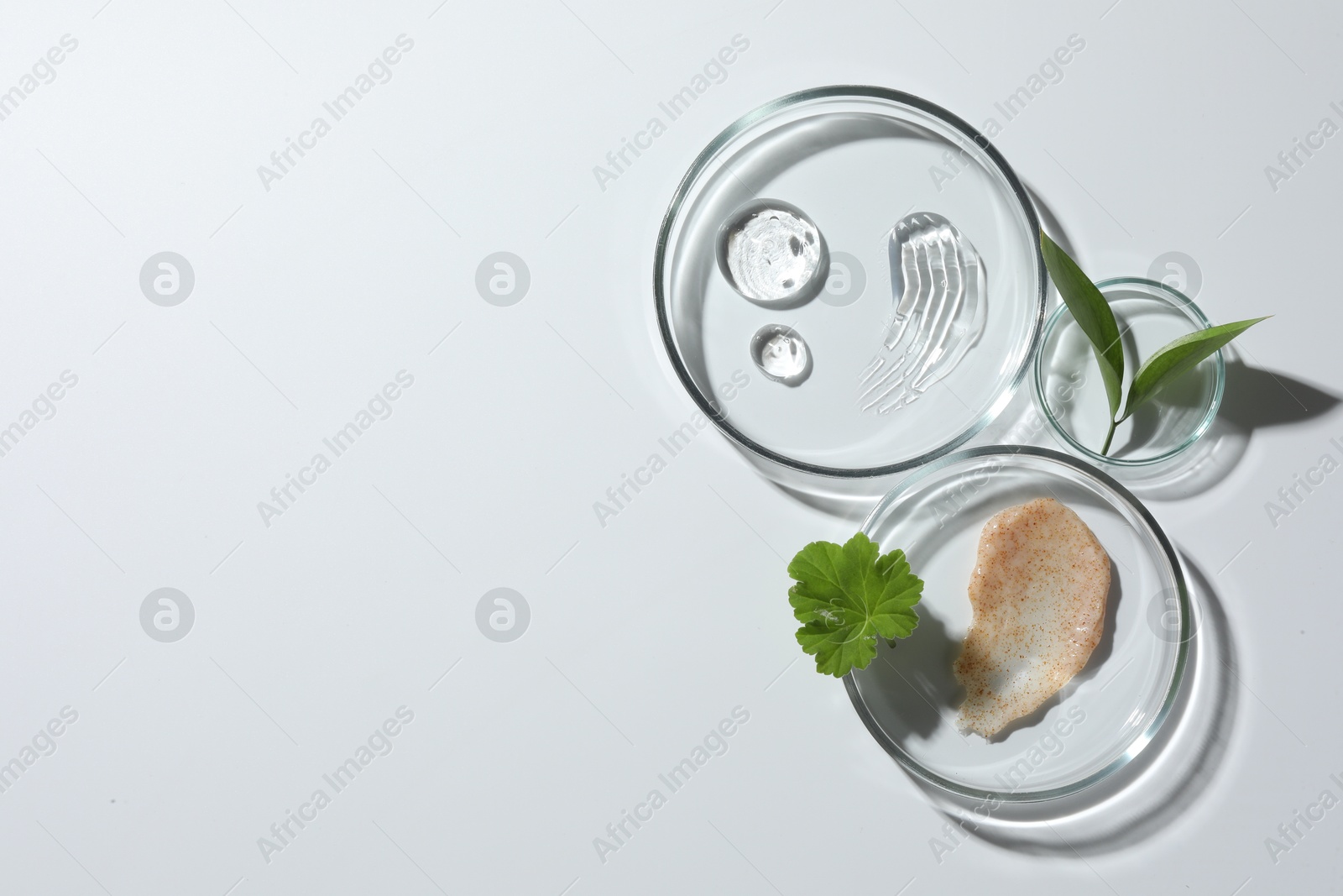 Photo of Petri dishes with different cosmetic products and leaves on white background, top view. Space for text