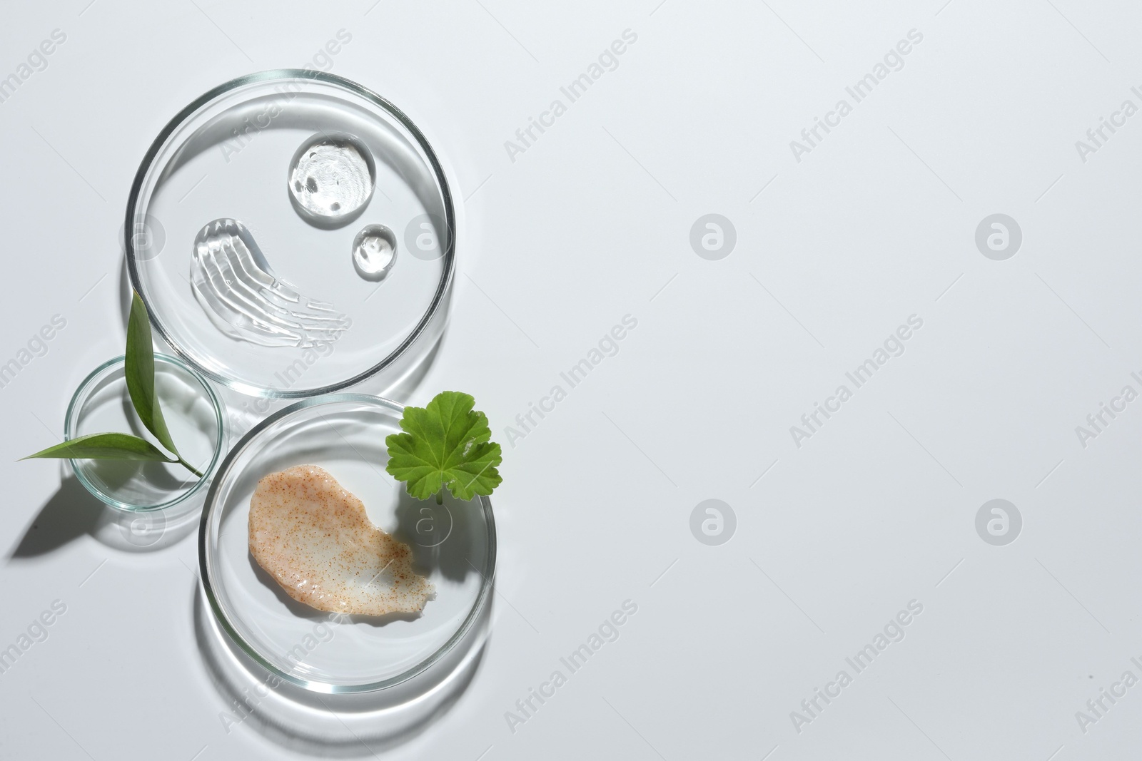 Photo of Petri dishes with different cosmetic products and leaves on white background, top view. Space for text