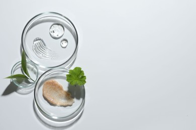 Petri dishes with different cosmetic products and leaves on white background, top view. Space for text