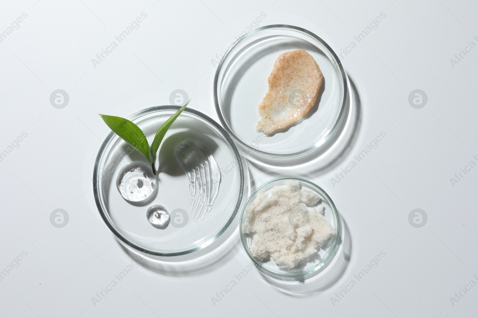 Photo of Petri dishes with different cosmetic products and leaves on white background, flat lay