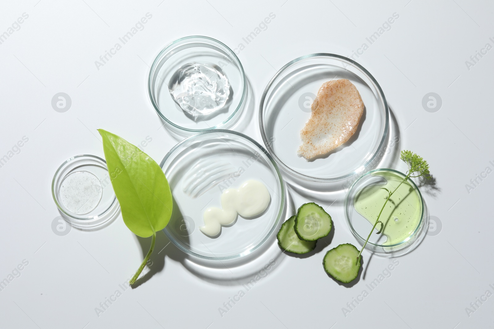 Photo of Petri dishes with different cosmetic products and leaves on white background, flat lay