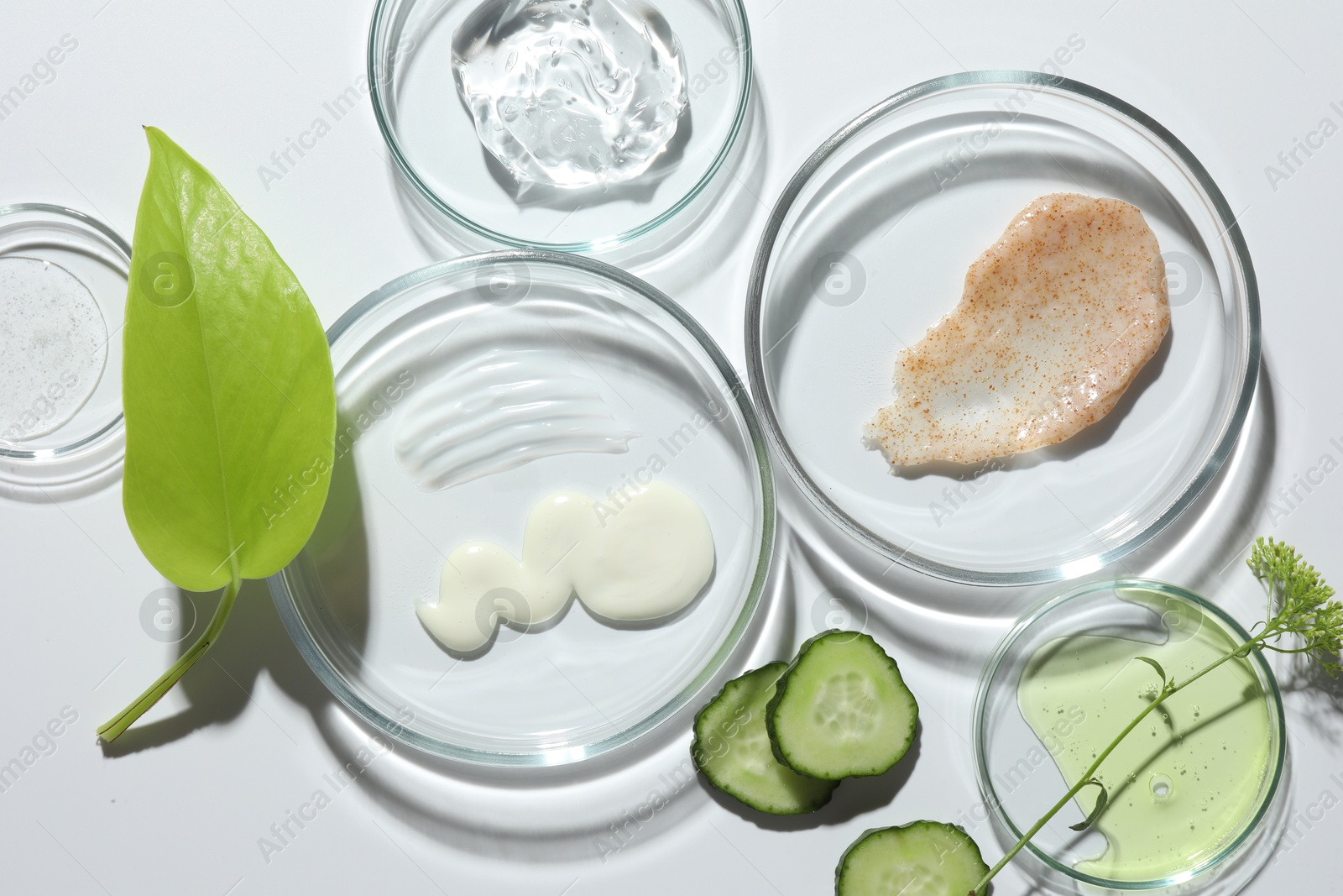 Photo of Petri dishes with different cosmetic products and leaves on white background, flat lay