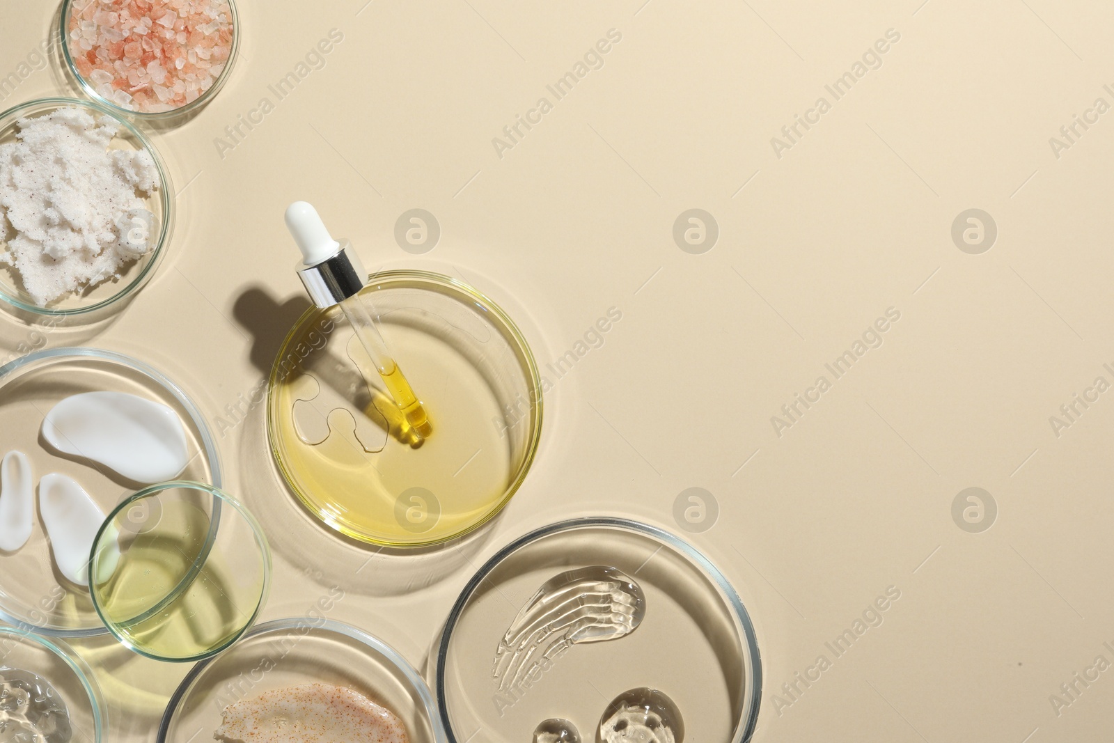 Photo of Petri dishes with different cosmetic products on beige background, flat lay. Space for text