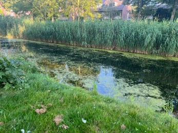 Photo of Picturesque view of canal and trees in park