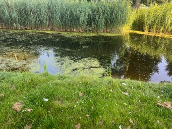 Picturesque view of canal and trees in park