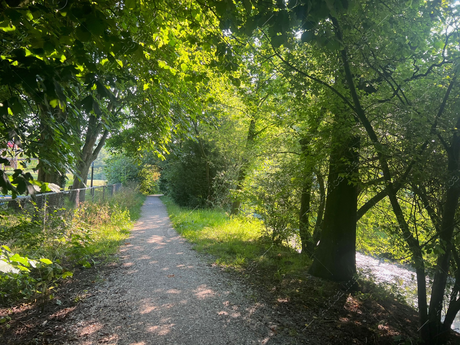 Photo of View of pathway through park with green trees alongside