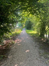 View of pathway through park with green trees alongside