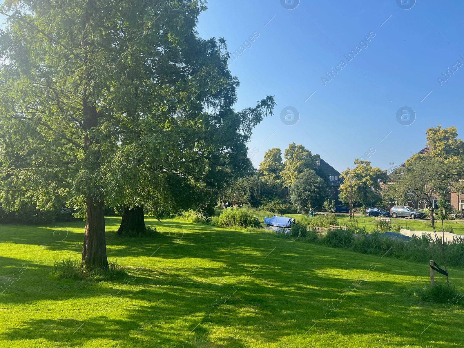 Photo of Picturesque view of park with trees and green grass