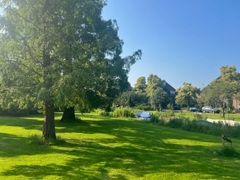 Picturesque view of park with trees and green grass