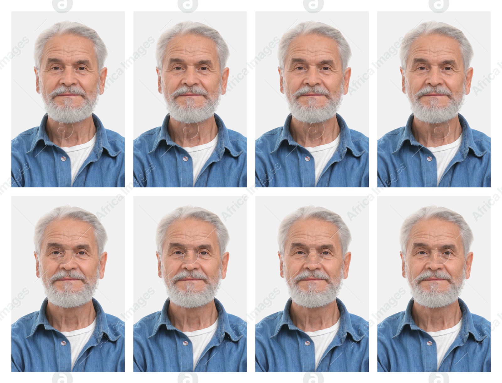 Image of Portrait of senior man on white background, set. Passport photo