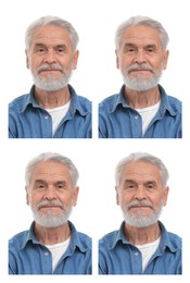 Image of Portrait of senior man on white background, set. Passport photo