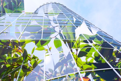 Environment. Modern building and green plant, double exposure