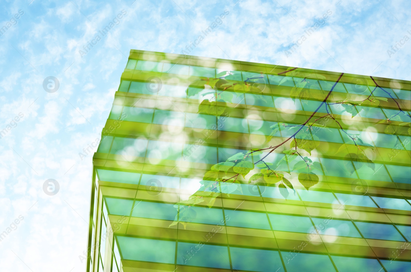 Image of Environment. Modern building and tree branch, double exposure