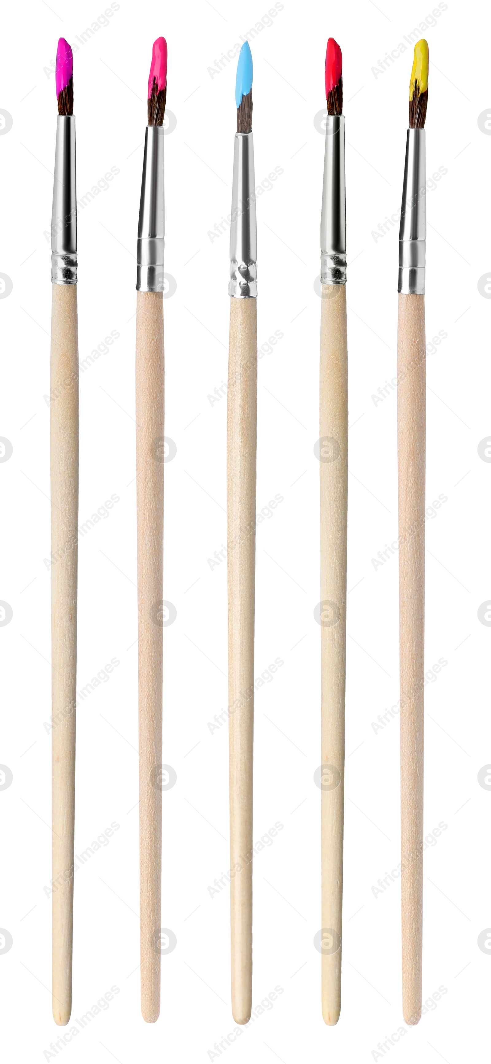 Image of Five different paint brushes isolated on white