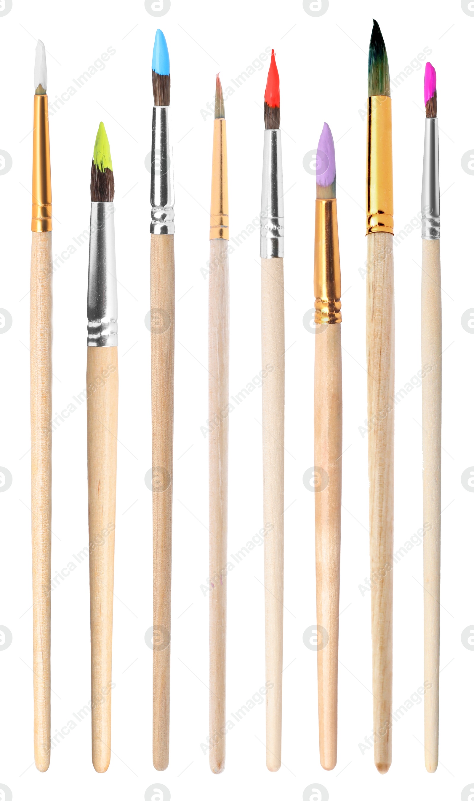 Image of Many different paint brushes isolated on white