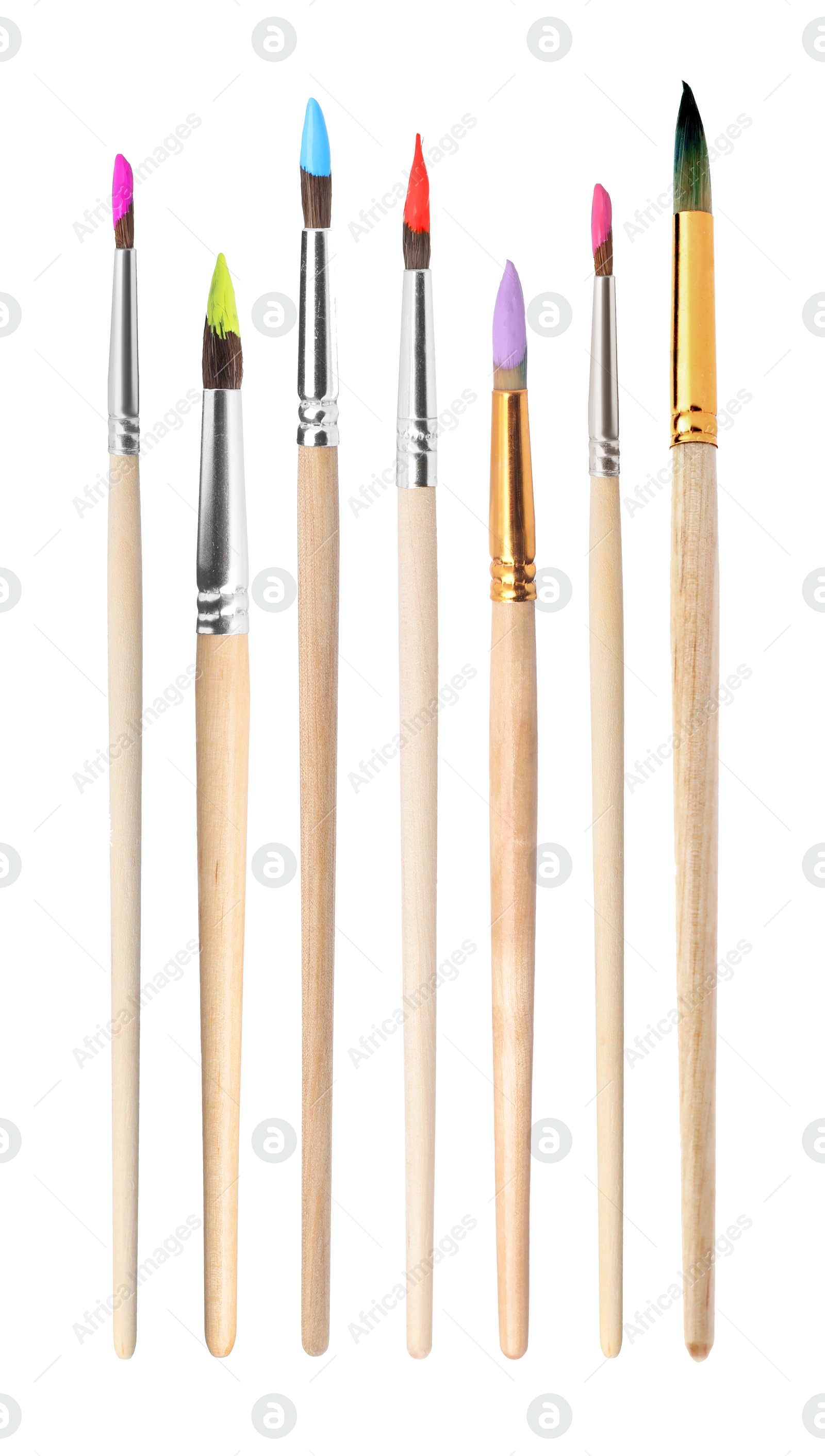 Image of Many different paint brushes isolated on white