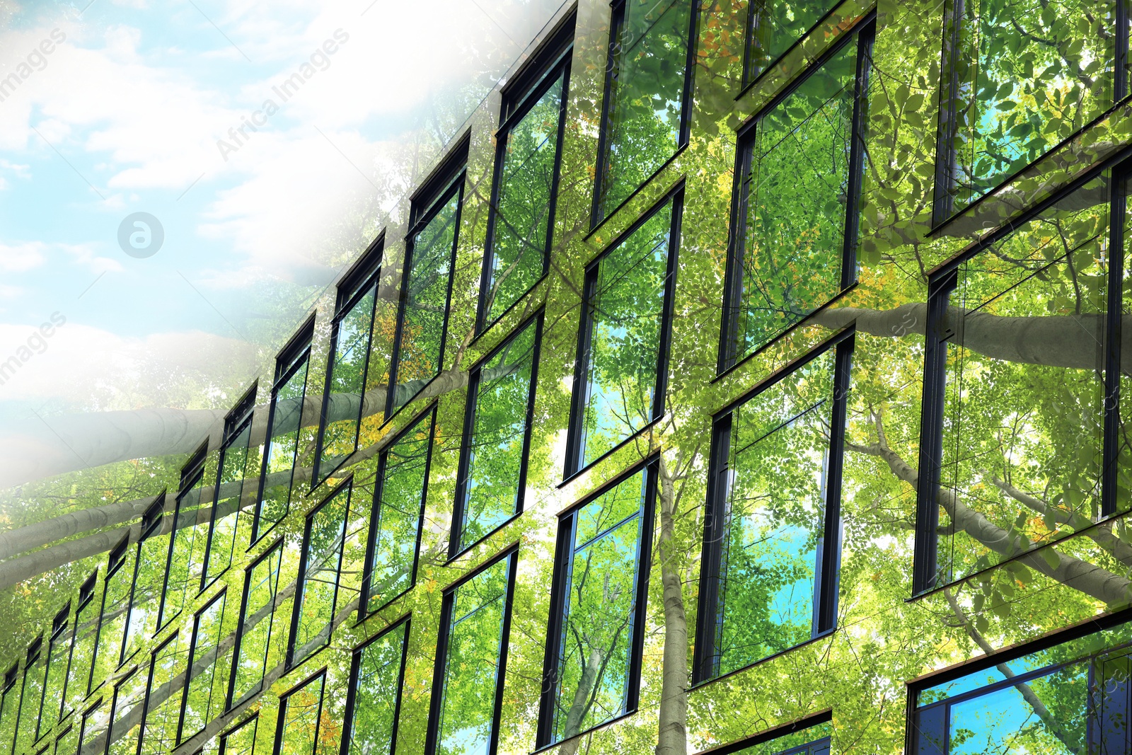 Image of Environment. Modern building and trees, double exposure