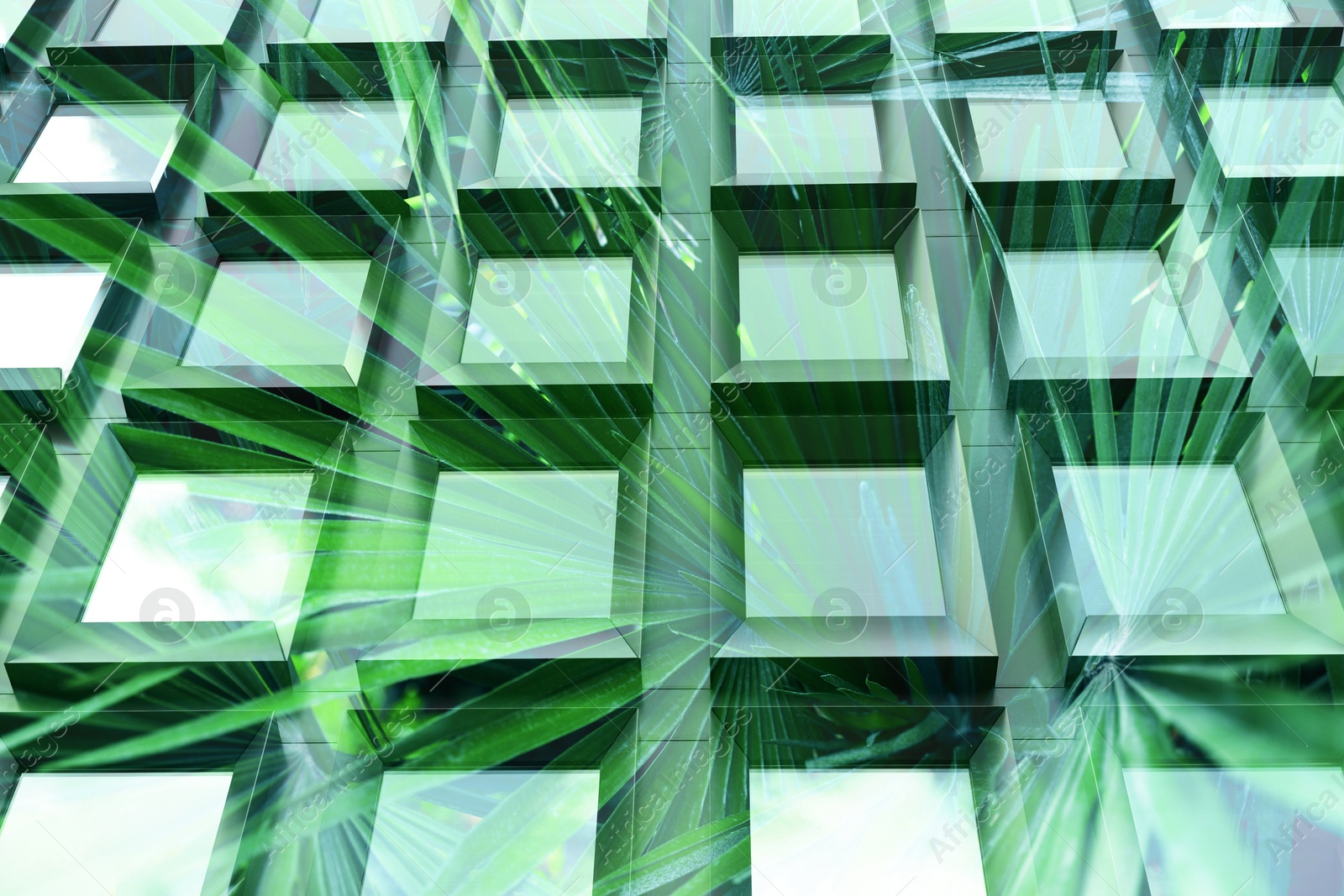 Image of Environment. Modern building and green palm leaves, double exposure