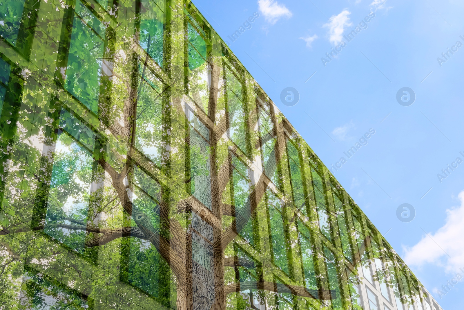 Image of Environment. Modern building and tree, double exposure