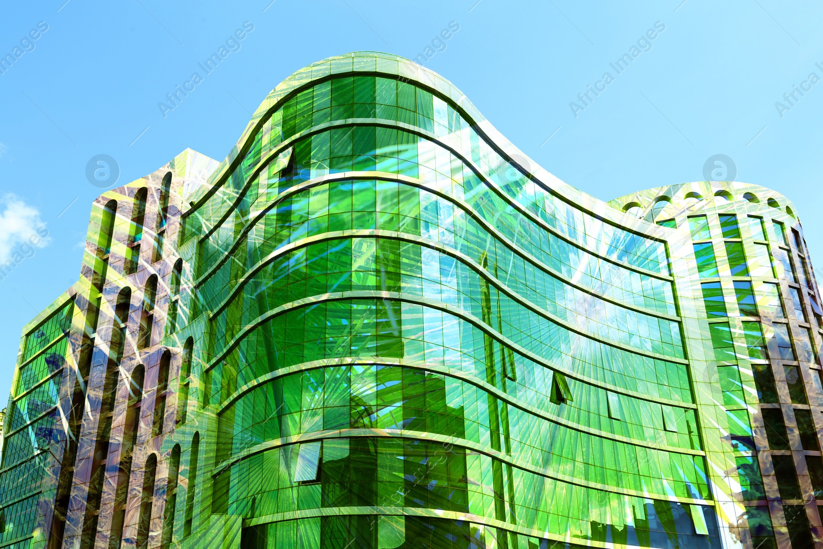 Image of Environment. Modern building and green palm leaves, double exposure