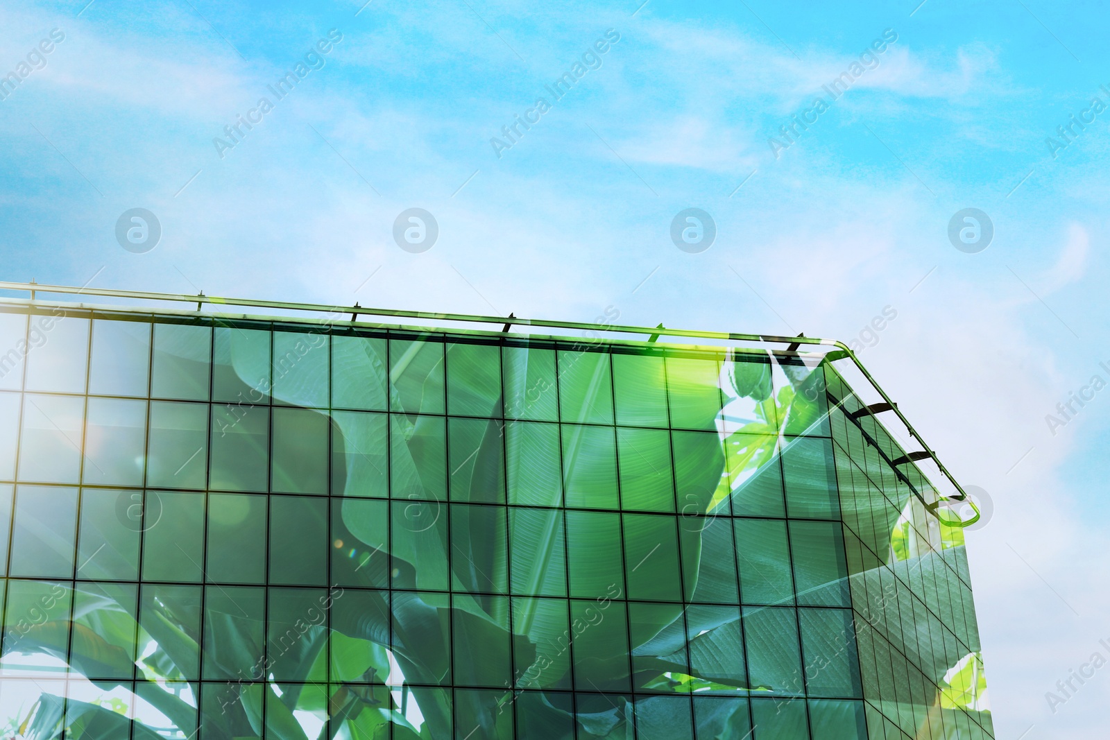 Image of Environment. Modern building and green plant, double exposure