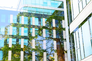 Environment. Modern building and green tree, double exposure