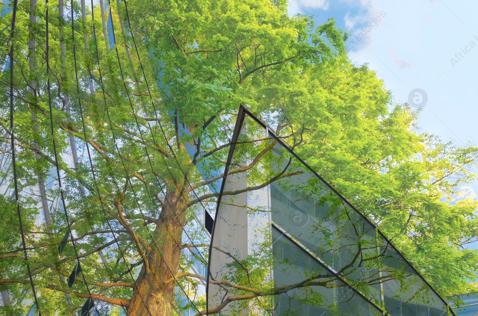 Image of Environment. Modern buildings and tree, double exposure