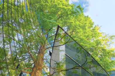 Image of Environment. Modern buildings and tree, double exposure