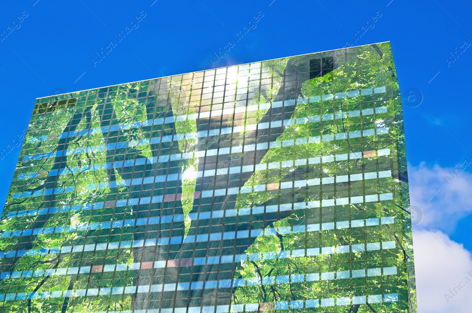 Image of Environment. Modern building and green tree, double exposure