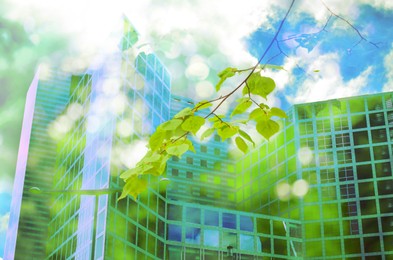 Environment. Modern building and tree branch with green leaves