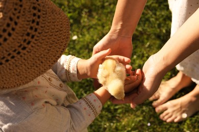 Photo of Mother and her little daughter with cute chick on sunny day, closeup