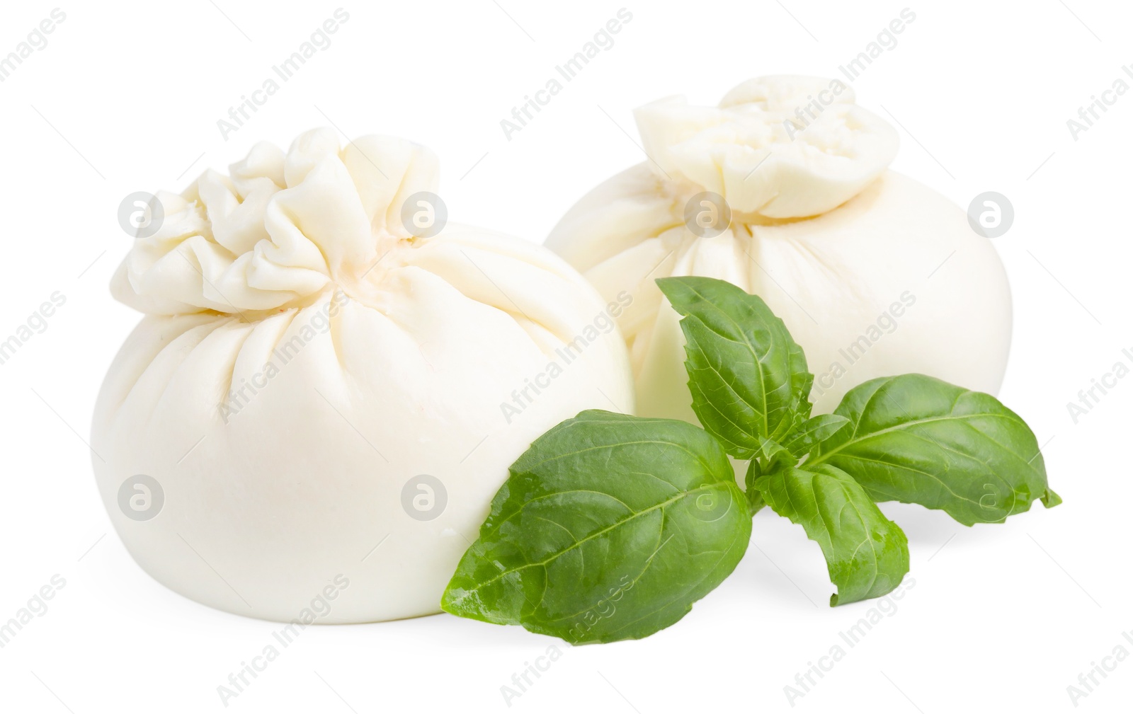 Photo of Fresh delicious burrata cheese and basil isolated on white