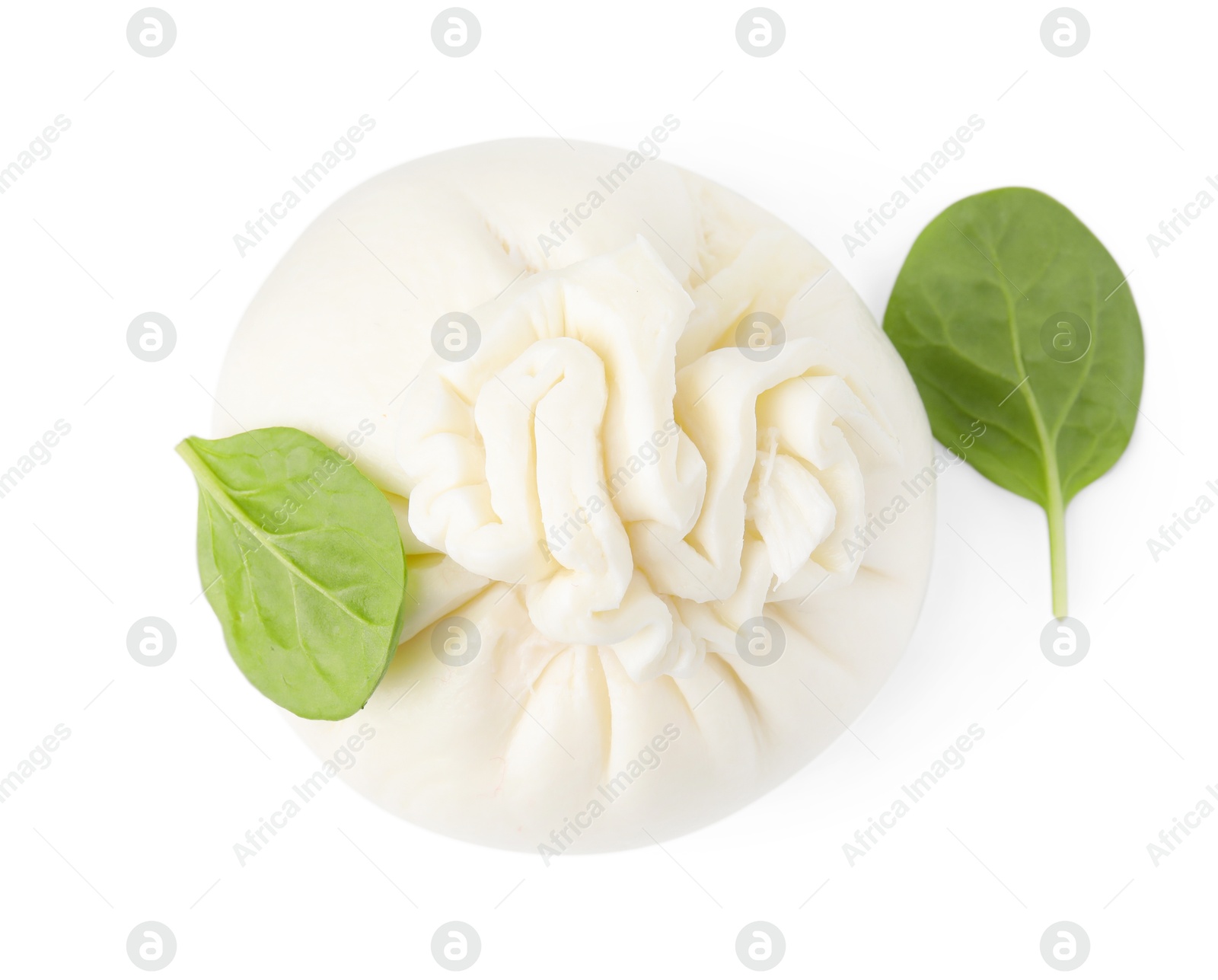 Photo of Fresh delicious burrata cheese and basil isolated on white, top view