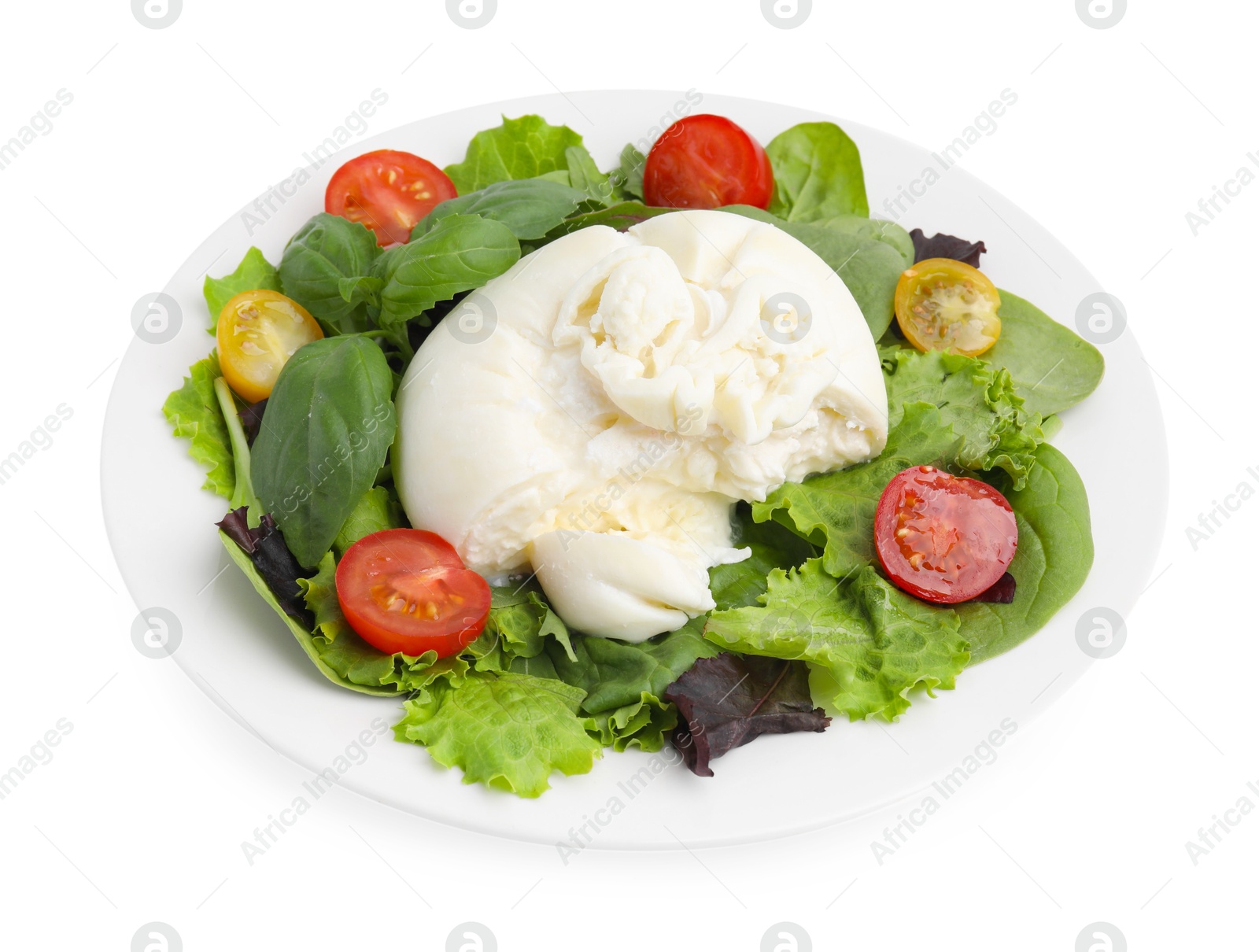 Photo of Delicious fresh burrata salad isolated on white