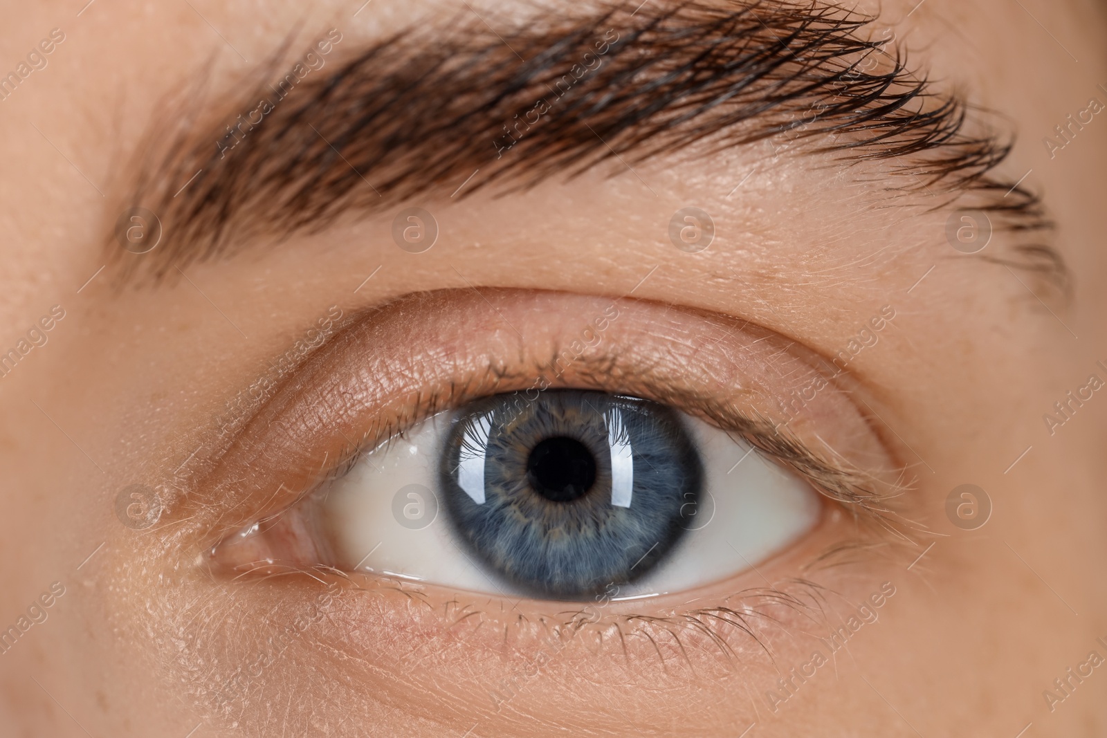 Photo of Macro photo of woman with beautiful eyes