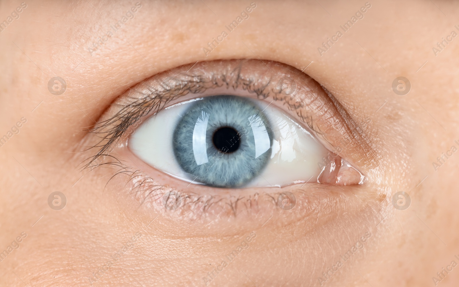 Photo of Woman with beautiful blue eyes, macro photo