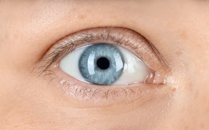 Woman with beautiful blue eyes, macro photo