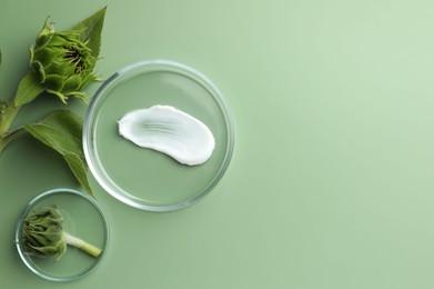 Photo of Petri dishes with cosmetic product and sunflowers on green background, flat lay. Space for text