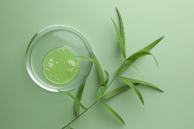 Petri dish with cosmetic product and leaves on green background, flat lay