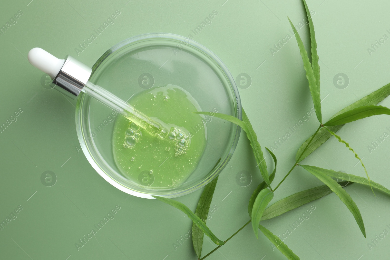 Photo of Petri dish with cosmetic product, pipette and leaves on green background, flat lay