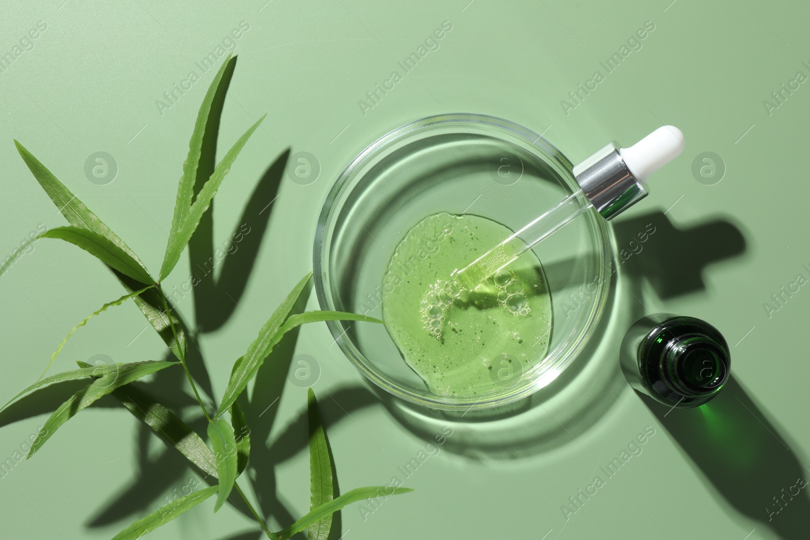 Photo of Petri dish with cosmetic product, bottle, pipette and leaves on green background, flat lay