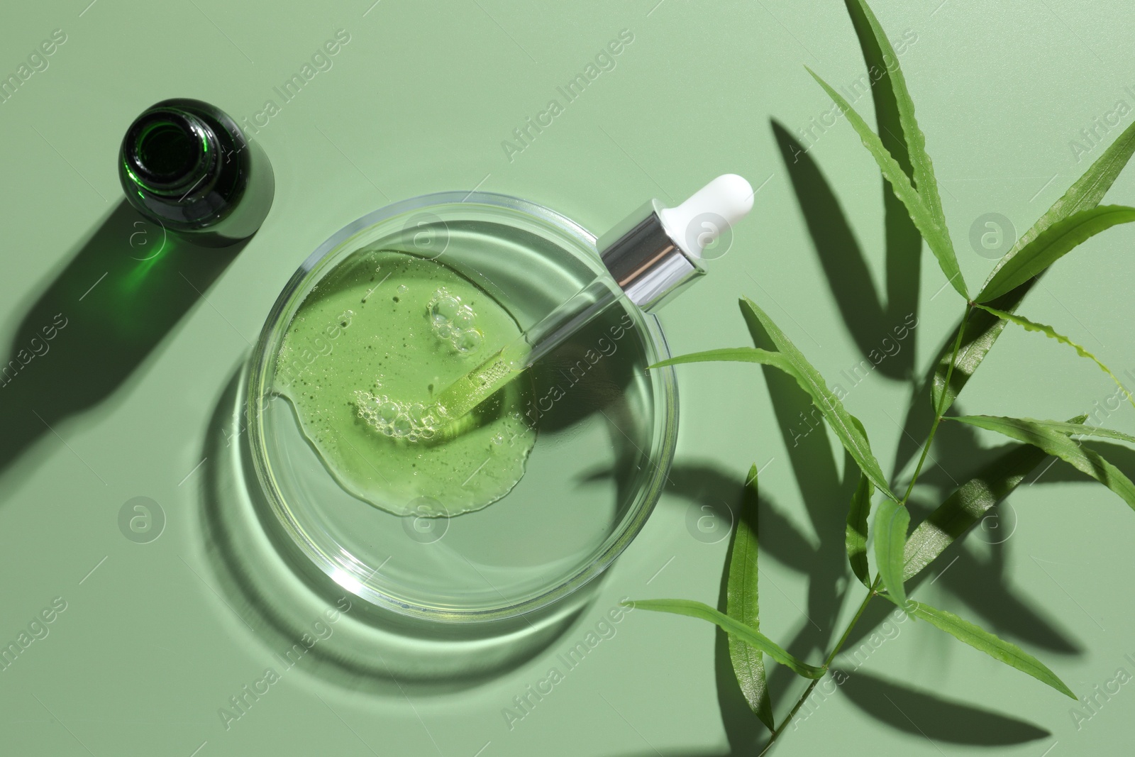 Photo of Petri dish with cosmetic product, bottle, pipette and leaves on green background, flat lay