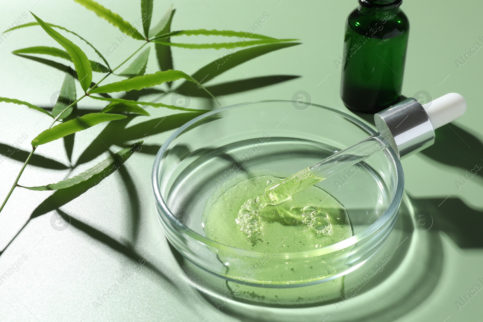 Photo of Petri dish with cosmetic product, bottle, pipette and leaves on green background, closeup