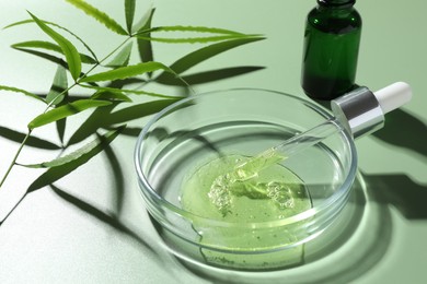 Petri dish with cosmetic product, bottle, pipette and leaves on green background, closeup