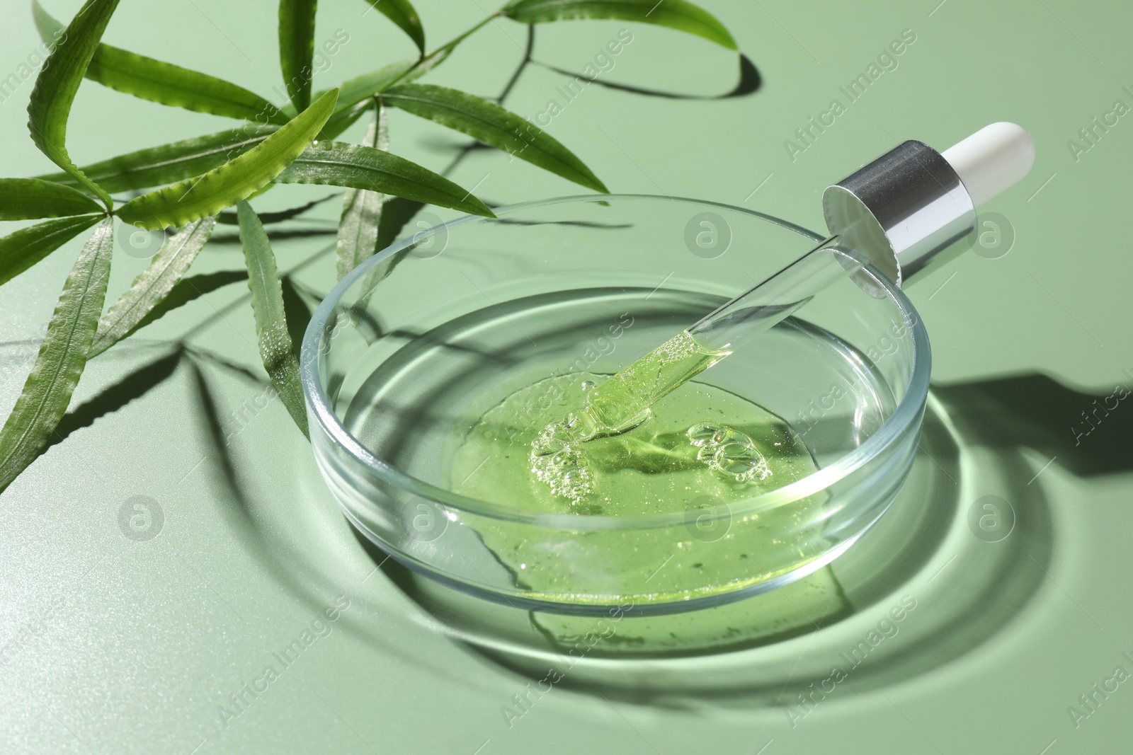 Photo of Petri dish with cosmetic product, pipette and leaves on green background, closeup