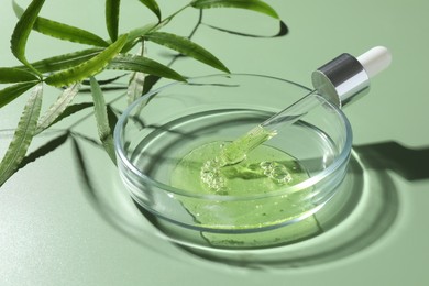 Petri dish with cosmetic product, pipette and leaves on green background, closeup