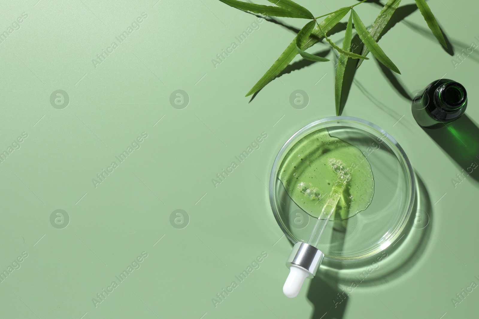 Photo of Petri dish with cosmetic product, bottle, pipette and leaves on green background, flat lay. Space for text