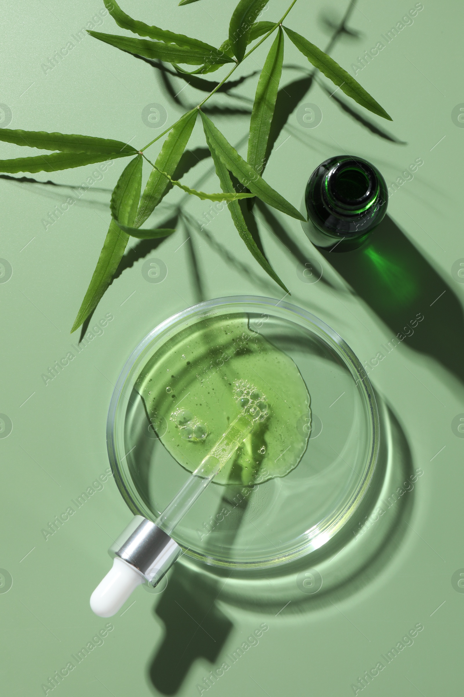 Photo of Petri dish with cosmetic product, bottle, pipette and leaves on green background, flat lay